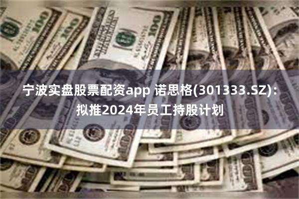 宁波实盘股票配资app 诺思格(301333.SZ)：拟推2024年员工持股计划