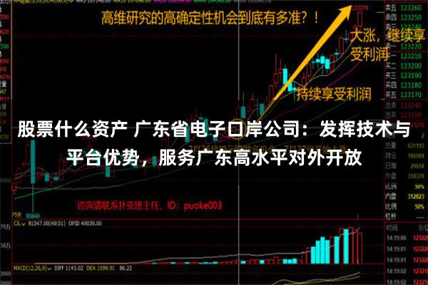 股票什么资产 广东省电子口岸公司：发挥技术与平台优势，服务广东高水平对外开放