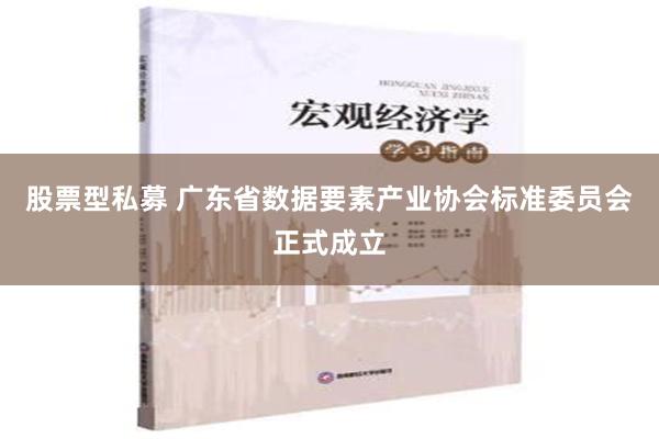 股票型私募 广东省数据要素产业协会标准委员会正式成立