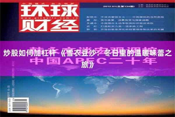 炒股如何加杠杆 《雪衣豆沙：冬日里的温暖味蕾之旅》