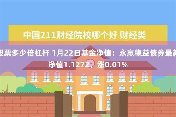 股票多少倍杠杆 1月22日基金净值：永赢稳益债券最新净值1.1272，涨0.01%